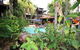 Hibiscus Resort & Spa - Official Onsite Reception & Check In - thumb 36