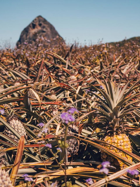 The Villa At The Bay - Accommodation Batemans Bay 24