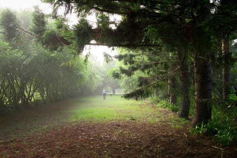 Sharlynn By The River - Accommodation Batemans Bay 2