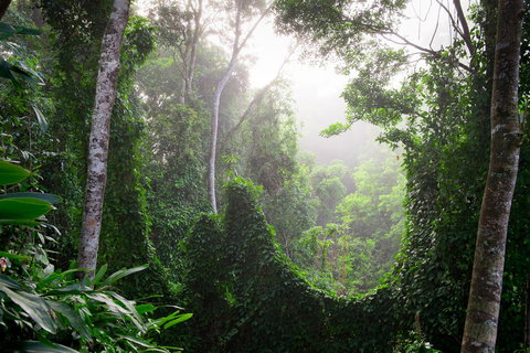 Sharlynn By The River - Accommodation Batemans Bay 29