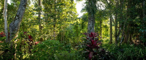 Sharlynn By The River - Accommodation Batemans Bay 5