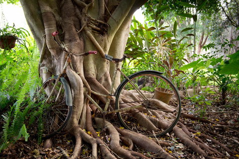 Sharlynn By The River - Accommodation Batemans Bay 27