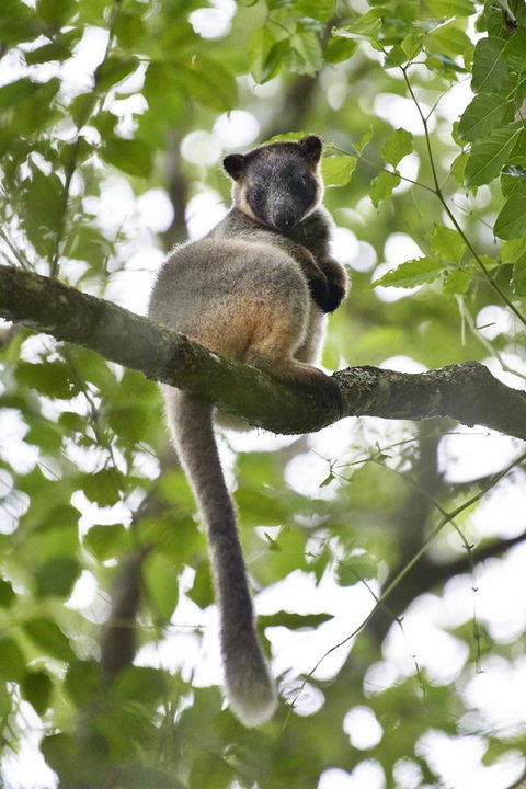 Sharlynn By The River - Accommodation Batemans Bay 28