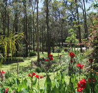 Werekataba - Accommodation Batemans Bay