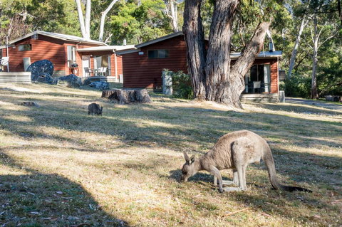 Wonderland Cottages - Accommodation Batemans Bay 1