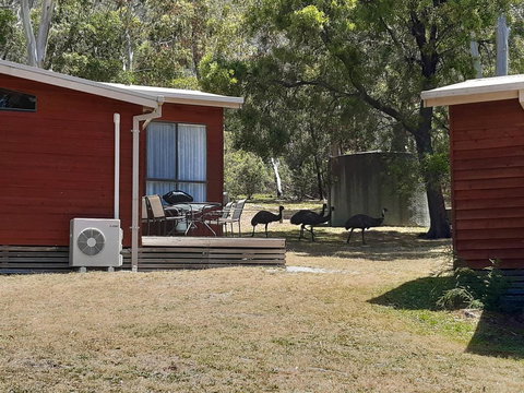 Wonderland Cottages - Accommodation Batemans Bay 3