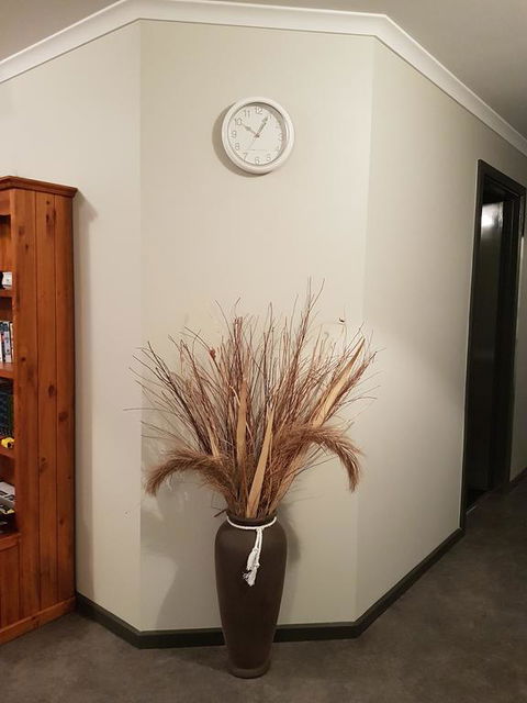 Wudinna Farm View - Accommodation Batemans Bay 3