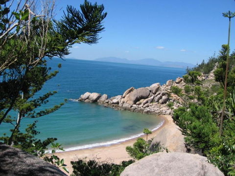 AFFORDABLE ISLAND ESCAPE! Queen Studio, Nelly Bay - Accommodation Batemans Bay 3
