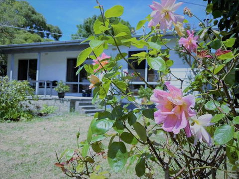 Apollo Bay Holiday House - Accommodation Batemans Bay 1