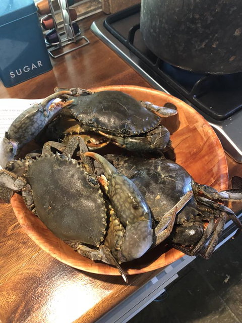 Cairns Beach House Our Oasis - Accommodation Batemans Bay 4