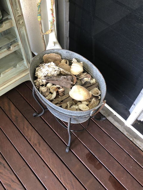 Cairns Beach House Our Oasis - Accommodation Batemans Bay 38