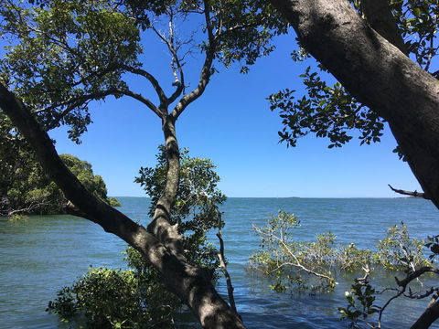 Absolute Waterfront - Accommodation Batemans Bay 16