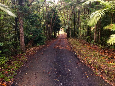 Daintree Manor B&B - Accommodation Batemans Bay 12