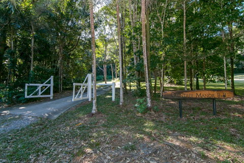 Daintree Manor B&B - Accommodation Batemans Bay 18