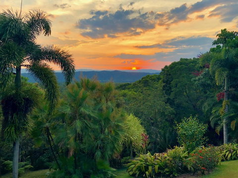 Daintree Manor B&B - Accommodation Batemans Bay 13