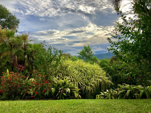 Daintree Manor B&B - Accommodation Batemans Bay 2