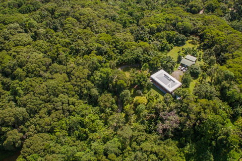 Daintree Manor B&B - Accommodation Batemans Bay 14