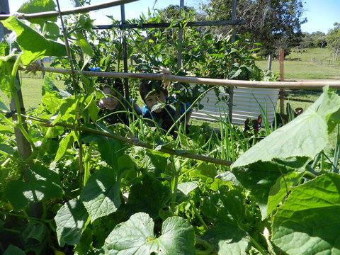 Hay Point Country BnB - Accommodation Batemans Bay 17