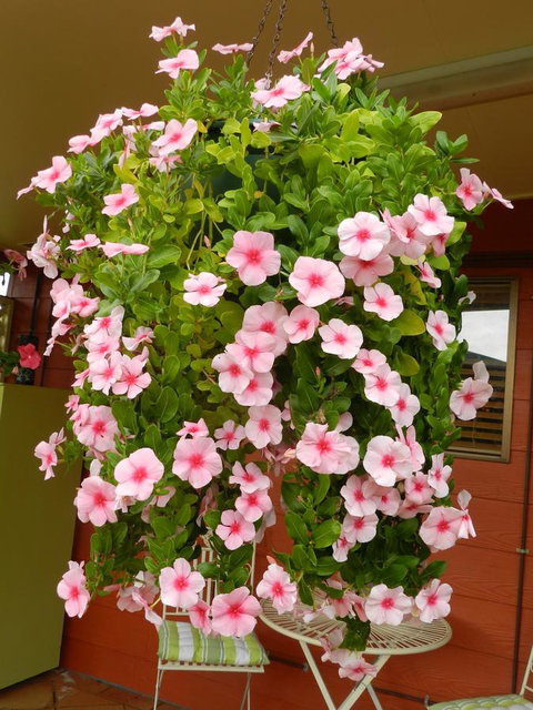 Hay Point Country BnB - Accommodation Batemans Bay 19