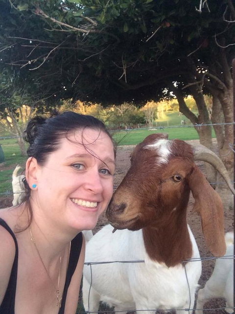 Hay Point Country BnB - Accommodation Batemans Bay 13