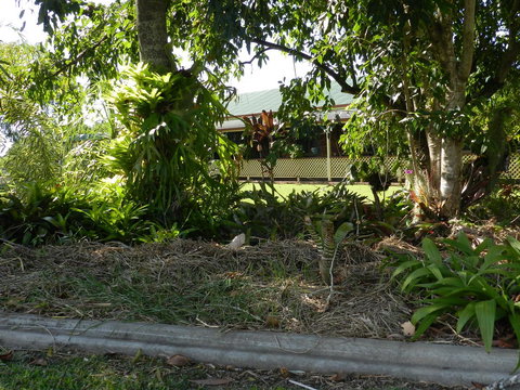 Hay Point Country BnB - Accommodation Batemans Bay 23