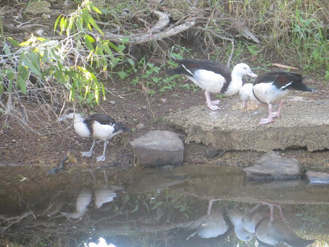 Hay Point Country BnB - Accommodation Batemans Bay 22