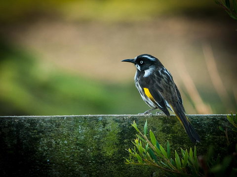 Parnella Adventure Bay, Bruny Island - Accommodation Batemans Bay 21