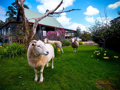 Parnella Adventure Bay, Bruny Island - Accommodation Batemans Bay 19