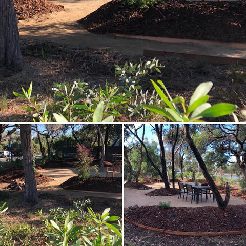 'Carinya' Coastal Cottage - Accommodation Batemans Bay 3