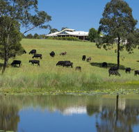 'Talumberi' 221 Trapyard Road - Accommodation Batemans Bay