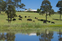 Book Nabiac Accommodation Vacations Accommodation Batemans Bay Accommodation Batemans Bay