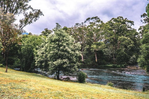 BIG4 Breeze Holiday Parks - Eildon - Accommodation Batemans Bay 0