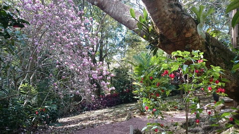 305 Montville - The Artist's Cottage - Accommodation Batemans Bay 3