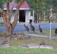 31 The Rocks - Accommodation Batemans Bay