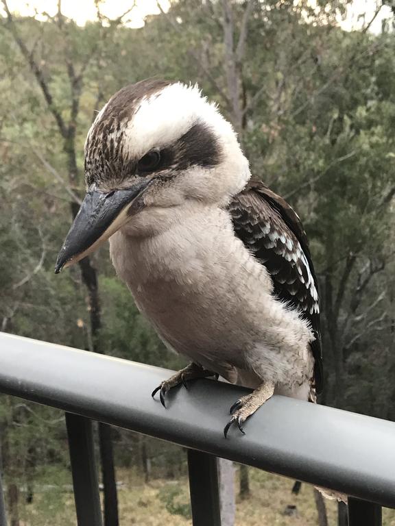 Tallebudgera Valley QLD Accommodation Batemans Bay