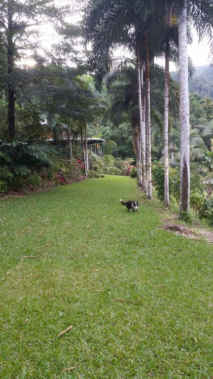 A Daintree Garden - Accommodation Batemans Bay 1