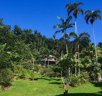 A Daintree Garden - Accommodation Batemans Bay
