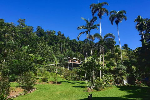 A Daintree Garden - Accommodation Batemans Bay 0