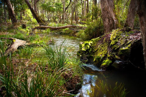 Ablac Studio - Accommodation Batemans Bay 1