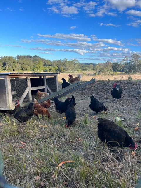 Eco Friendly Cottage At Simple Patch Farm Wingham - Accommodation Batemans Bay 3