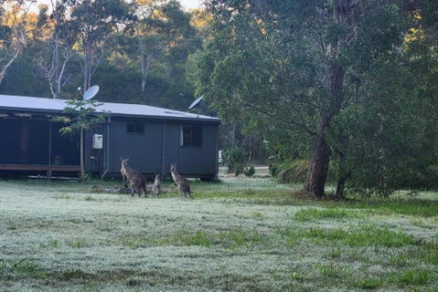 EcoRetreat 1770 - Accommodation Batemans Bay 4
