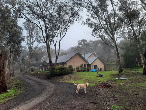 Frogmouth Hollow - Accommodation Batemans Bay 0