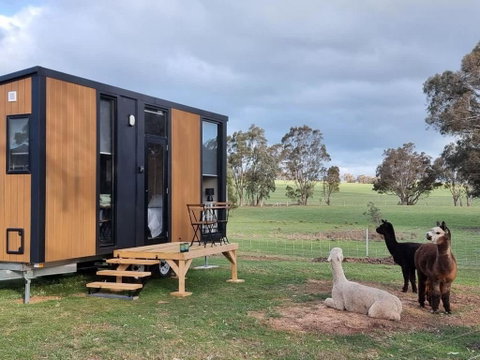 Grampians Views Moyston By Tiny Away - Accommodation Batemans Bay 0