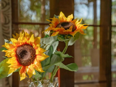 Great Value 3BD House At A Convenient Location - Accommodation Batemans Bay 3