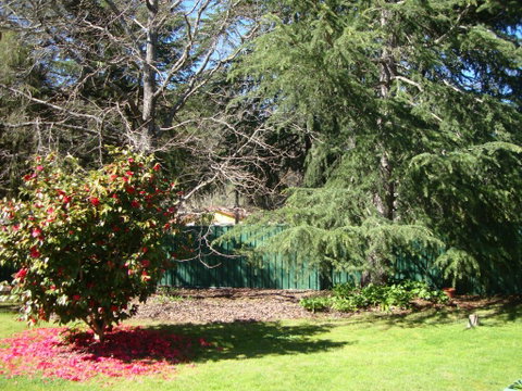 Ageri Holiday House - Accommodation Batemans Bay 1