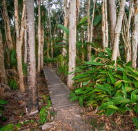 Agnes Palms Accommodation - Accommodation Batemans Bay