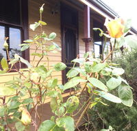 Albion Cottage - Accommodation Batemans Bay