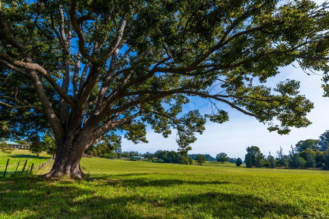 All About Me B & B - Accommodation Batemans Bay 2