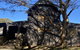 Alpine Interlude - thumb 1