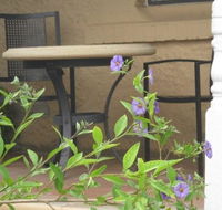 Amalie Cottage Waikerie - Accommodation Batemans Bay
